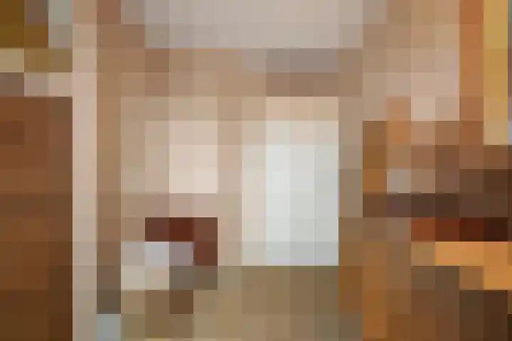 Molenveld 19 Anna Paulowna thumbnail 29