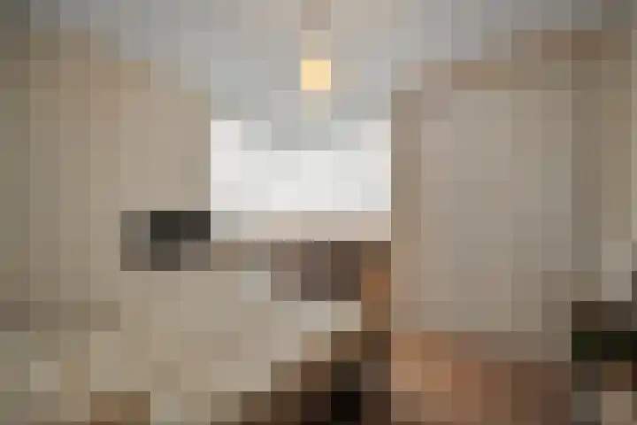 Molenveld 19 Anna Paulowna thumbnail 31