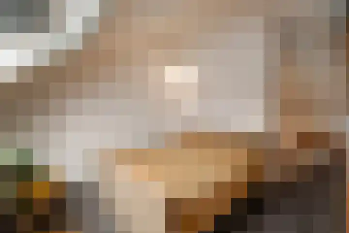 Molenveld 19 Anna Paulowna thumbnail 34