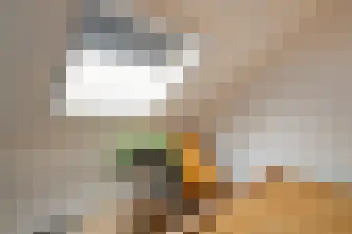 Molenveld 19 Anna Paulowna thumbnail 35