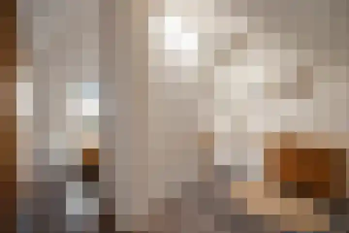 Molenveld 19 Anna Paulowna thumbnail 36