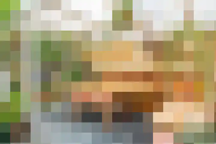 Molenveld 19 Anna Paulowna thumbnail 4