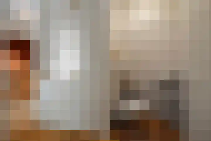 Molenveld 19 Anna Paulowna thumbnail 8