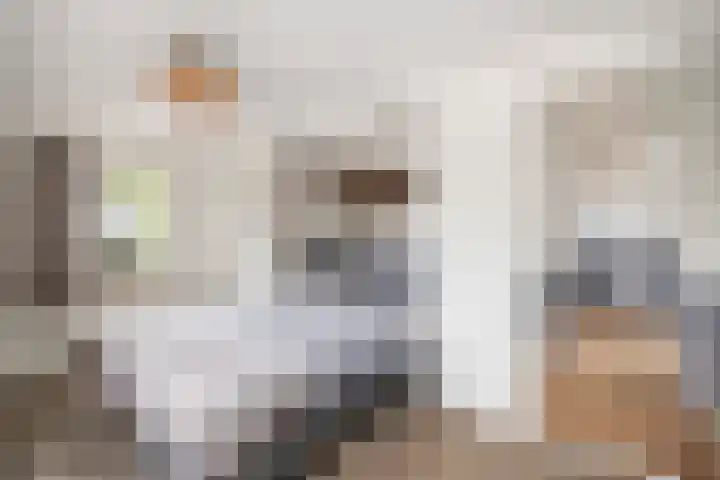 Molenveld 2 Twello thumbnail 15