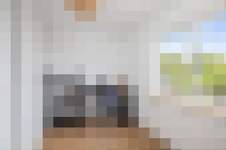Molenveld 2 Twello thumbnail 19