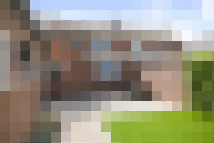 Molenveld 2 Twello thumbnail 20
