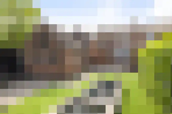 Molenveld 2 Twello thumbnail 21