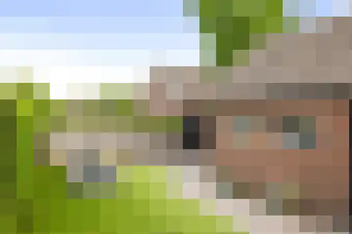 Molenveld 2 Twello thumbnail 22