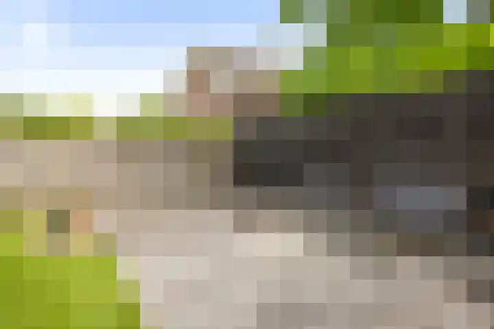 Molenveld 2 Twello thumbnail 24