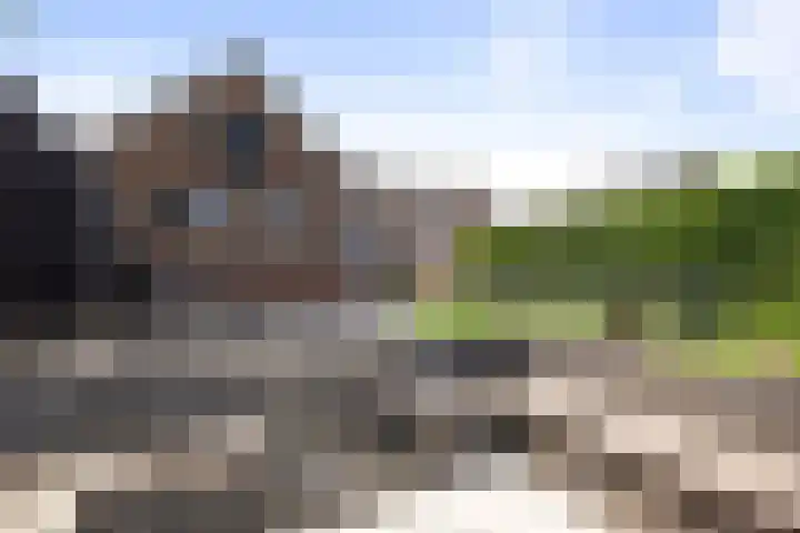 Molenveld 2 Twello thumbnail 25