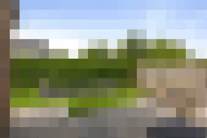 Molenveld 2 Twello thumbnail 26