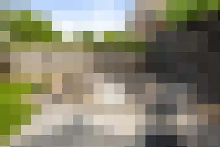 Molenveld 2 Twello thumbnail 27
