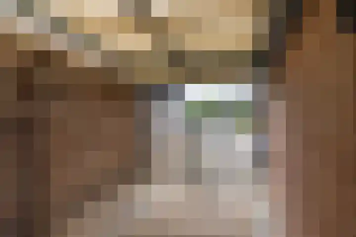 Molenveld 2 Twello thumbnail 29
