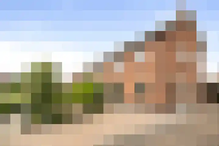Molenveld 2 Twello thumbnail 31