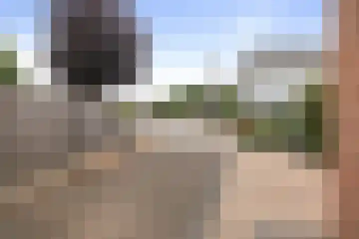 Molenveld 2 Twello thumbnail 32