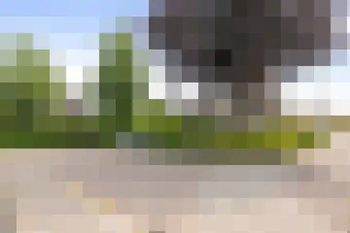 Molenveld 2 Twello thumbnail 33