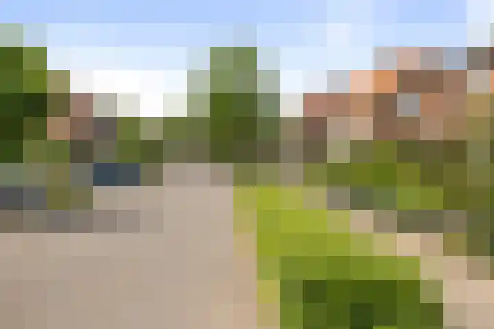 Molenveld 2 Twello thumbnail 34