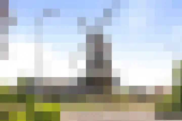 Molenveld 2 Twello thumbnail 35