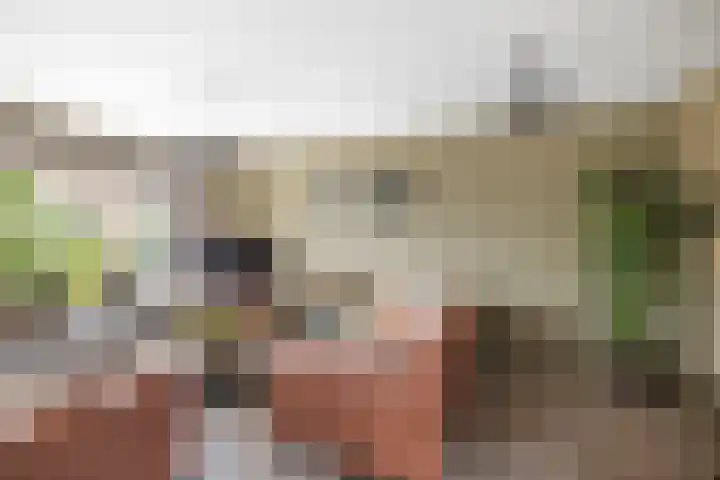 Molenveld 2 Twello thumbnail 5