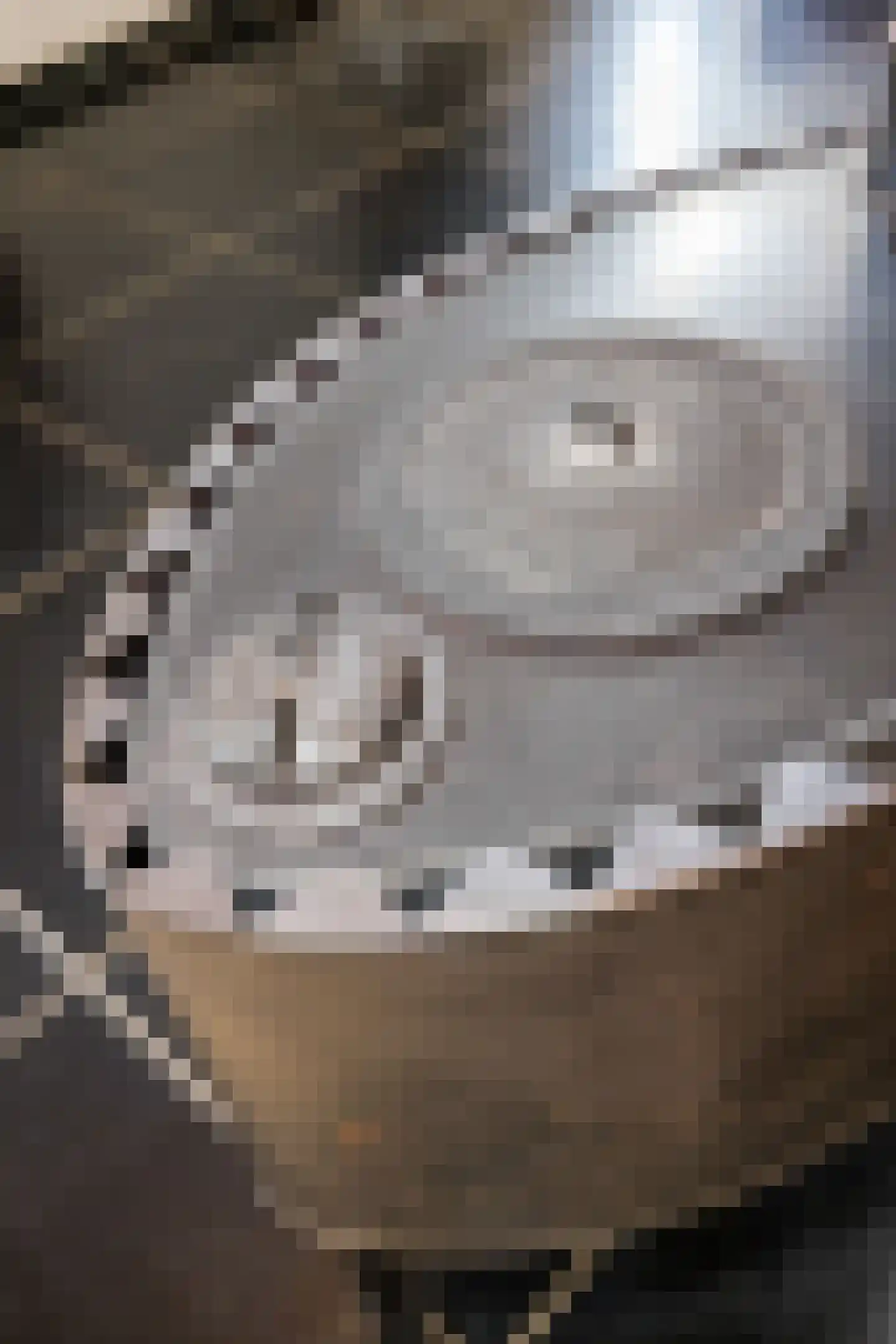 Molenveld 20 Nuth thumbnail 23