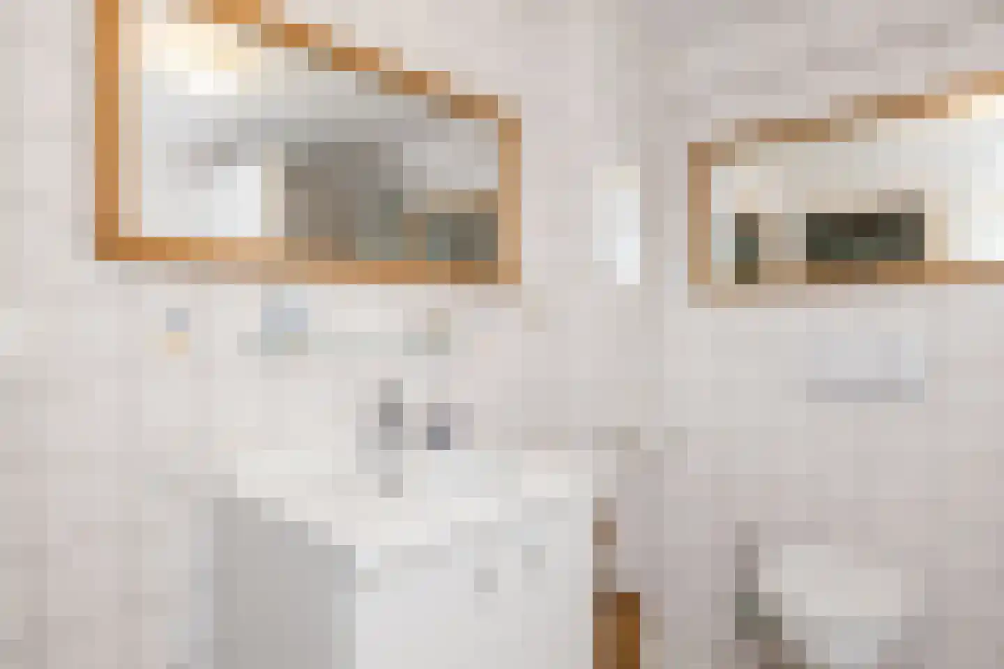 Molenveld 20 Nuth thumbnail 33