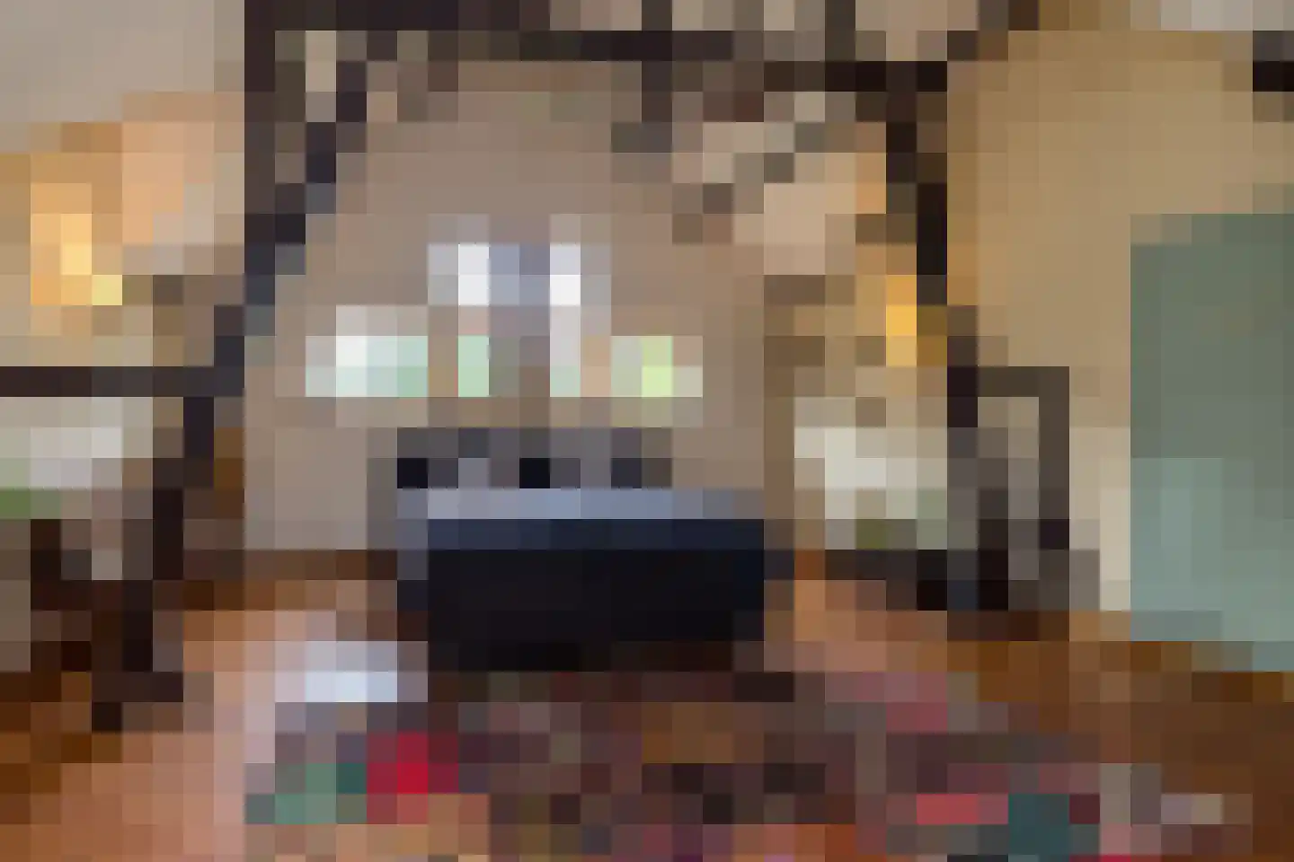 Molenveld 20 Nuth thumbnail 35