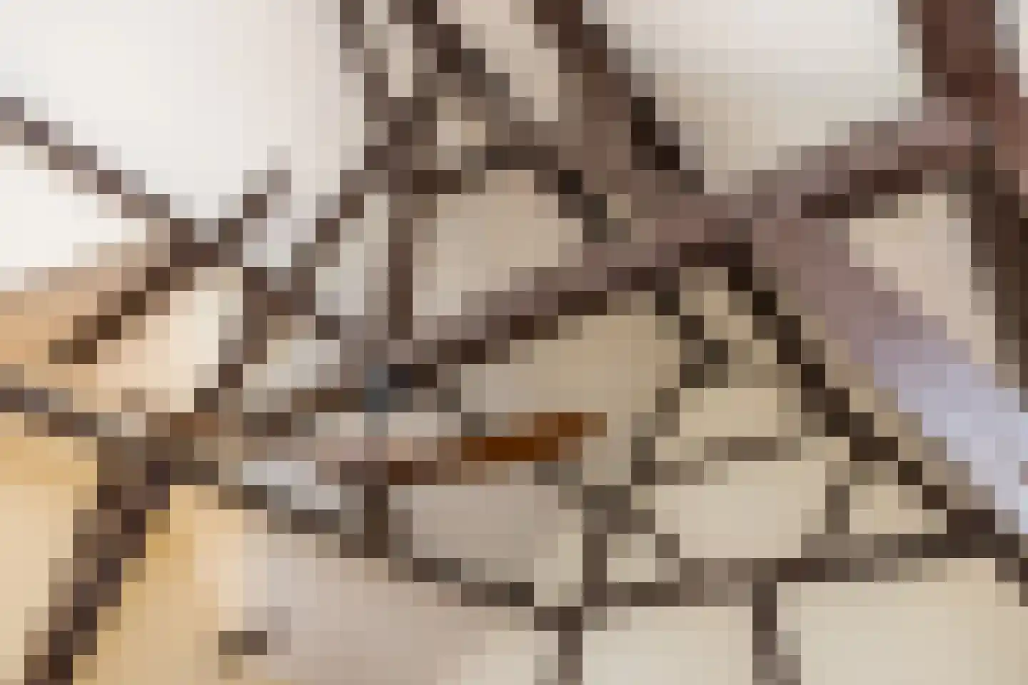 Molenveld 20 Nuth thumbnail 36
