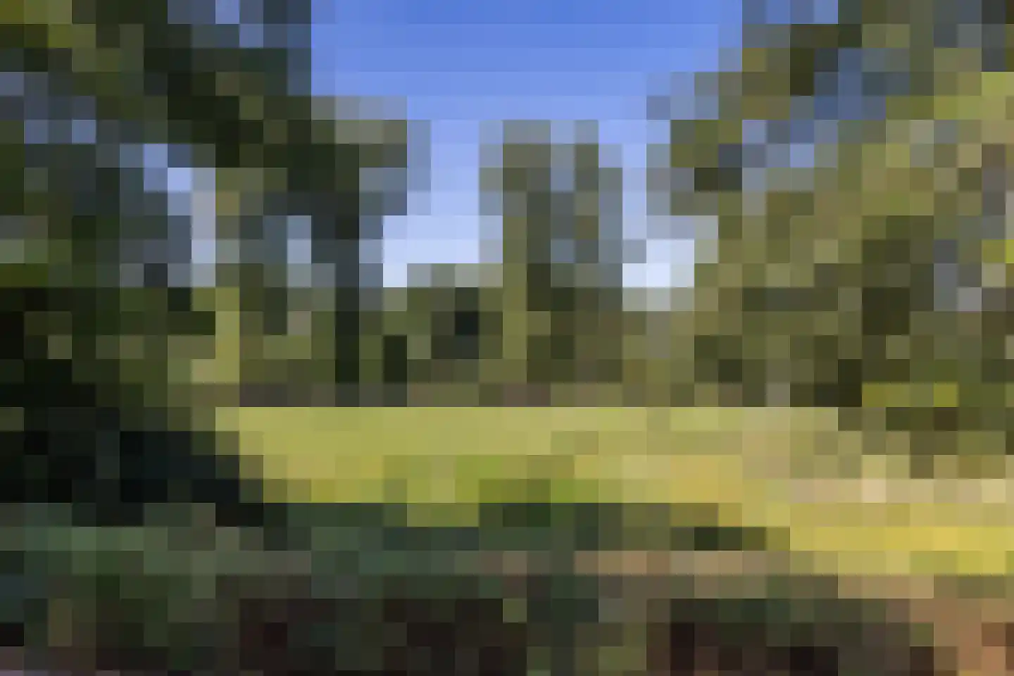 Molenveld 20 Nuth thumbnail 51