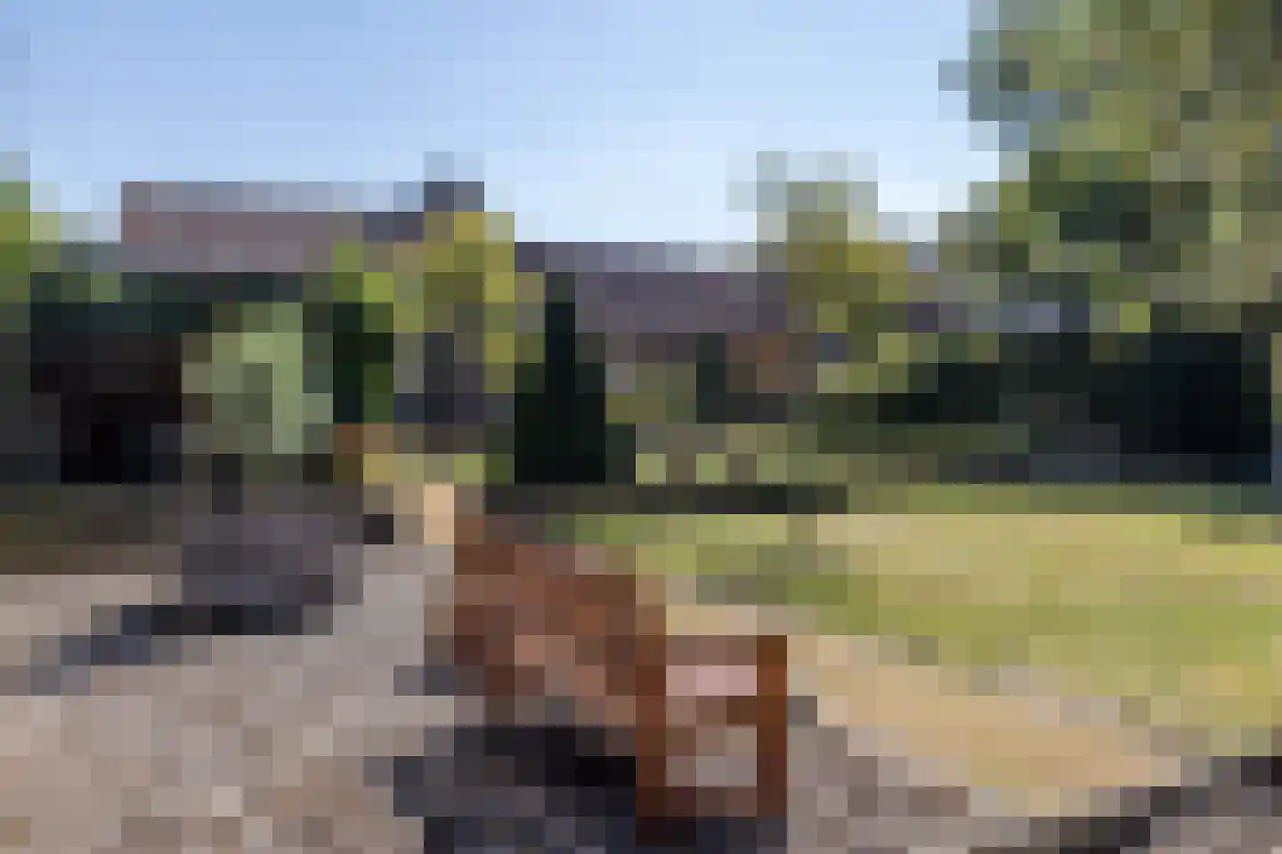 Molenveld 20 Nuth thumbnail 54