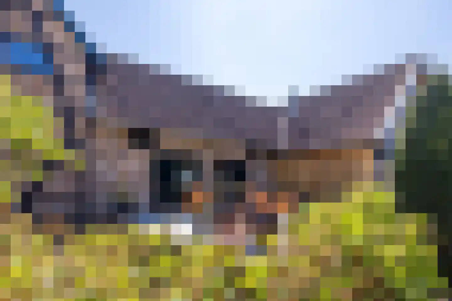 Molenveld 20 Nuth thumbnail 57