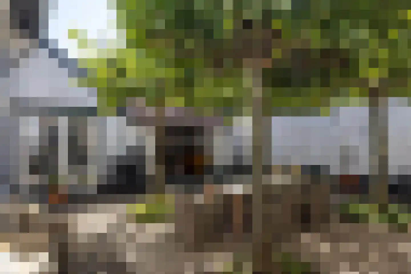 Molenveld 20 Nuth thumbnail 62
