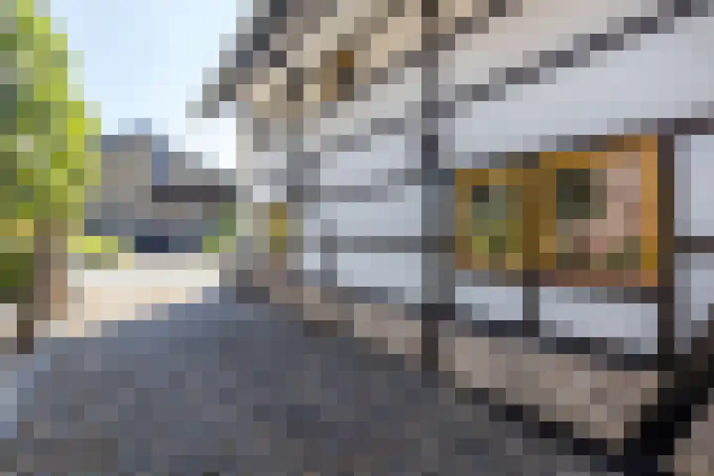 Molenveld 20 Nuth thumbnail 66