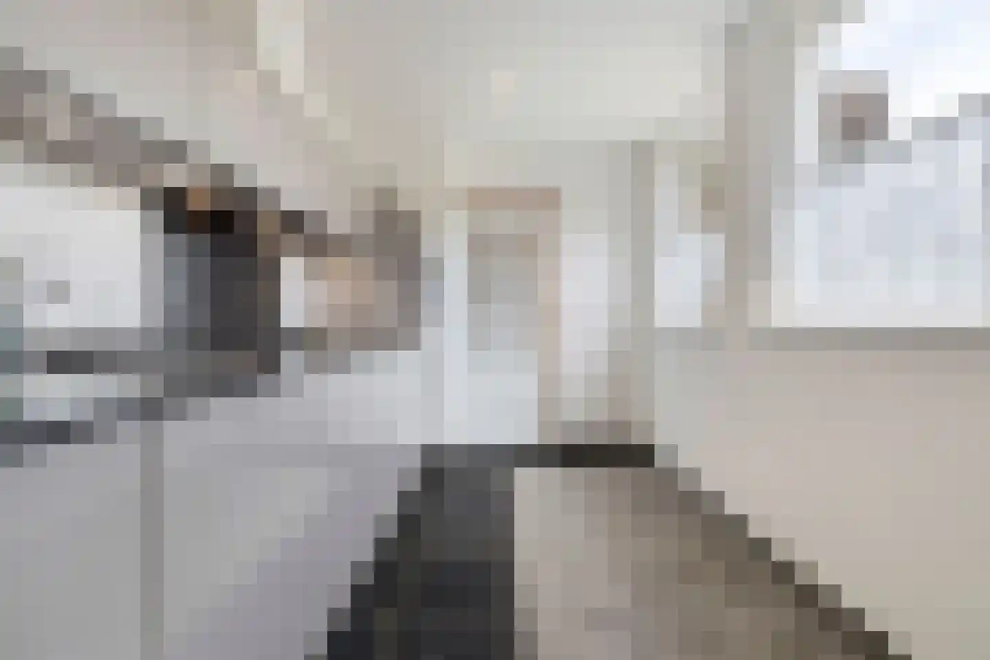 Molenveld 22 Grubbenvorst thumbnail 12