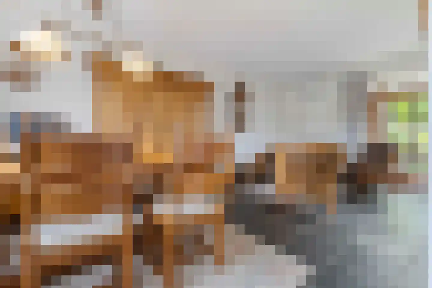 Molenveld 22 Grubbenvorst thumbnail 15