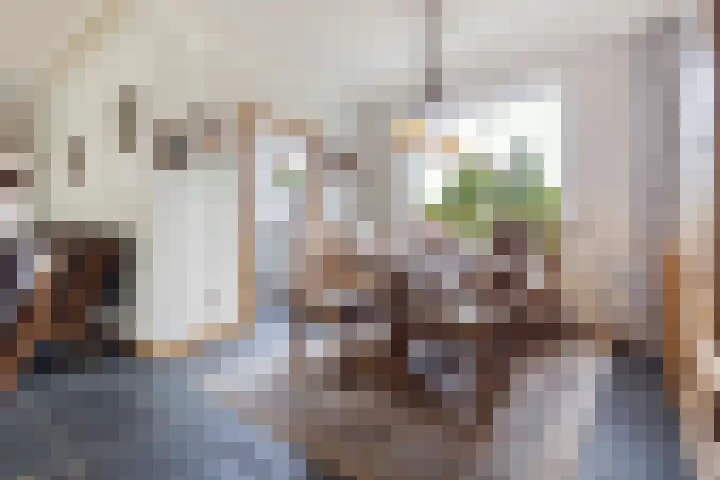 Molenveld 22 Grubbenvorst thumbnail 16