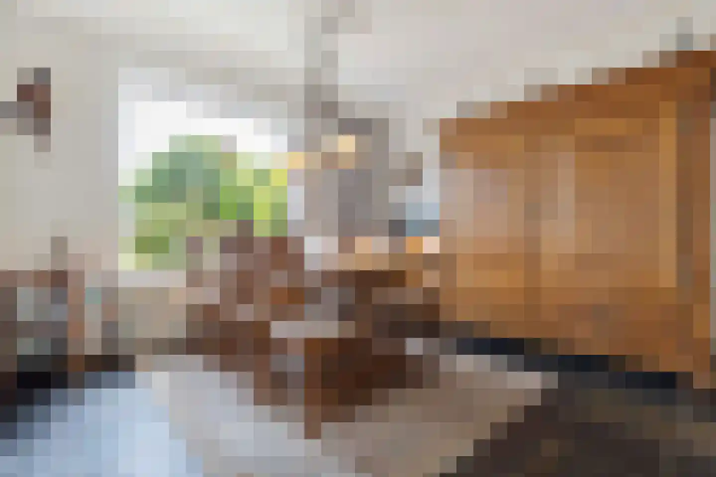 Molenveld 22 Grubbenvorst thumbnail 17