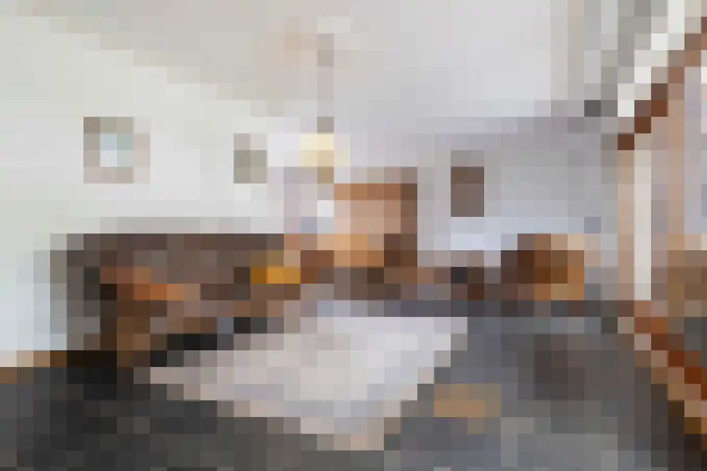 Molenveld 22 Grubbenvorst thumbnail 21