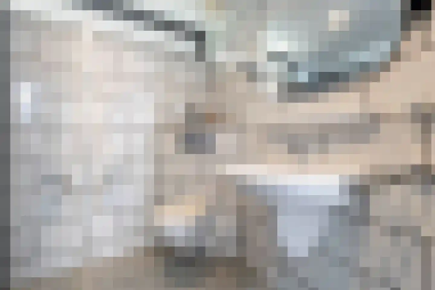 Molenveld 22 Grubbenvorst thumbnail 34
