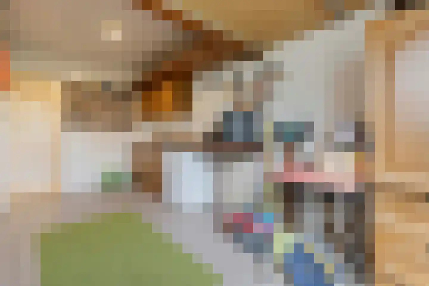 Molenveld 22 Grubbenvorst thumbnail 37