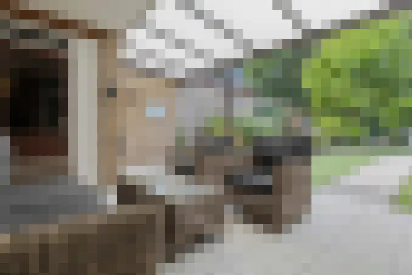 Molenveld 22 Grubbenvorst thumbnail 38