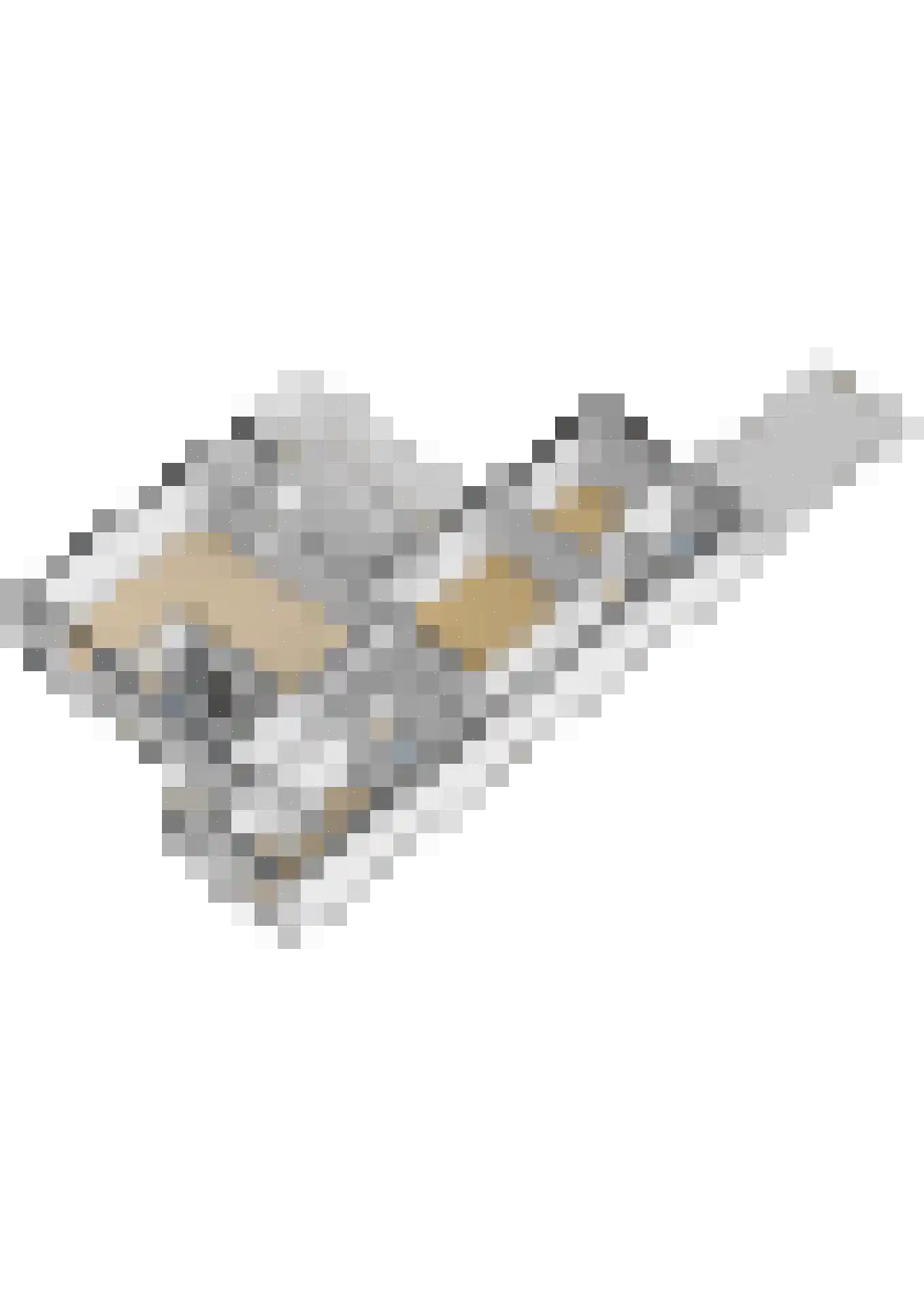 Molenveld 22 Grubbenvorst thumbnail 48