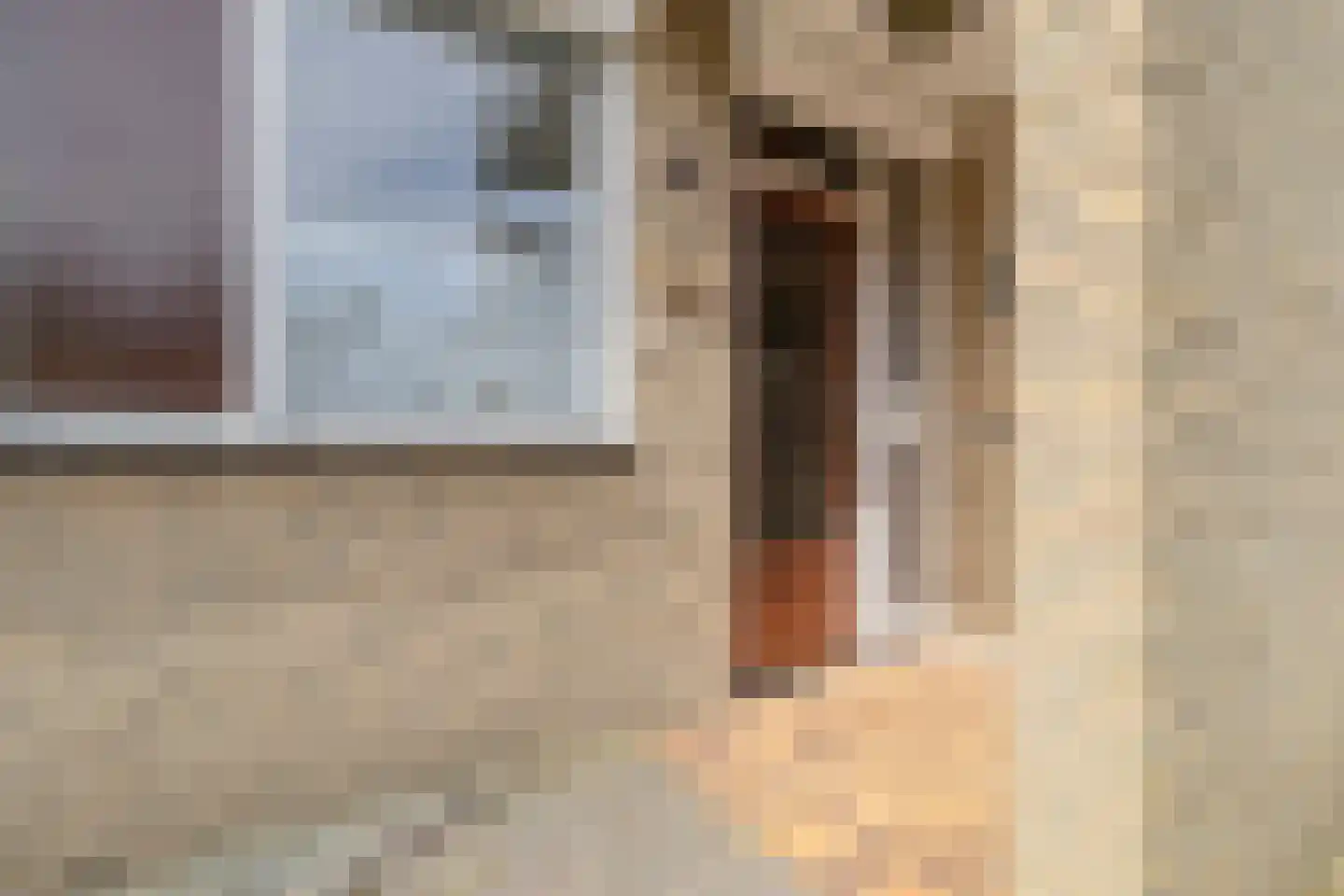 Molenveld 22 Grubbenvorst thumbnail 5