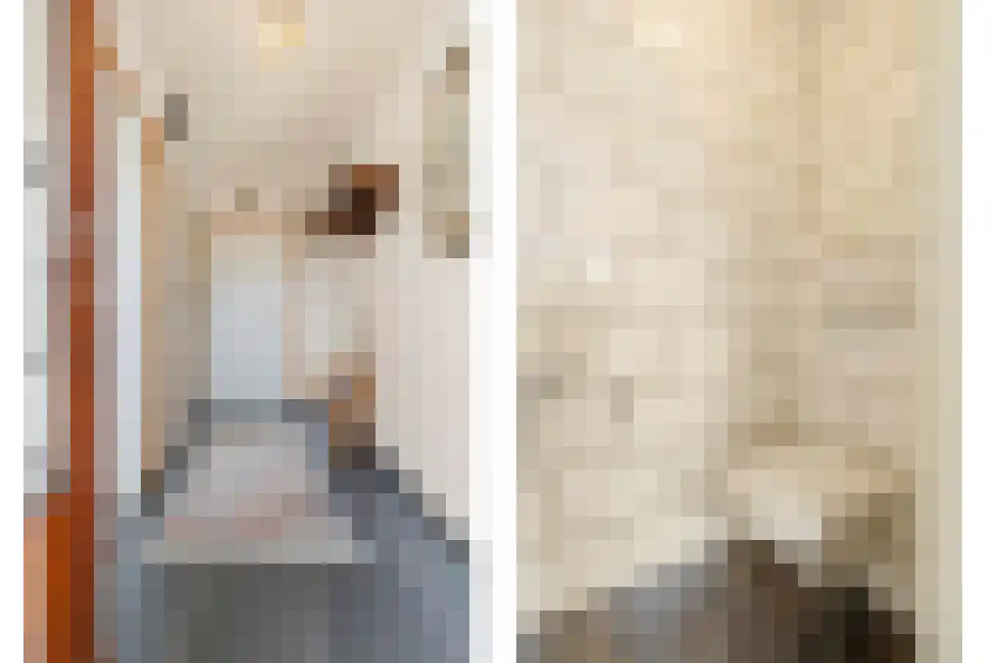 Molenveld 22 Grubbenvorst thumbnail 6