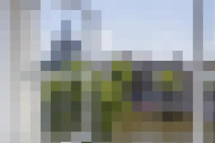 Molenveld 3 Nuth