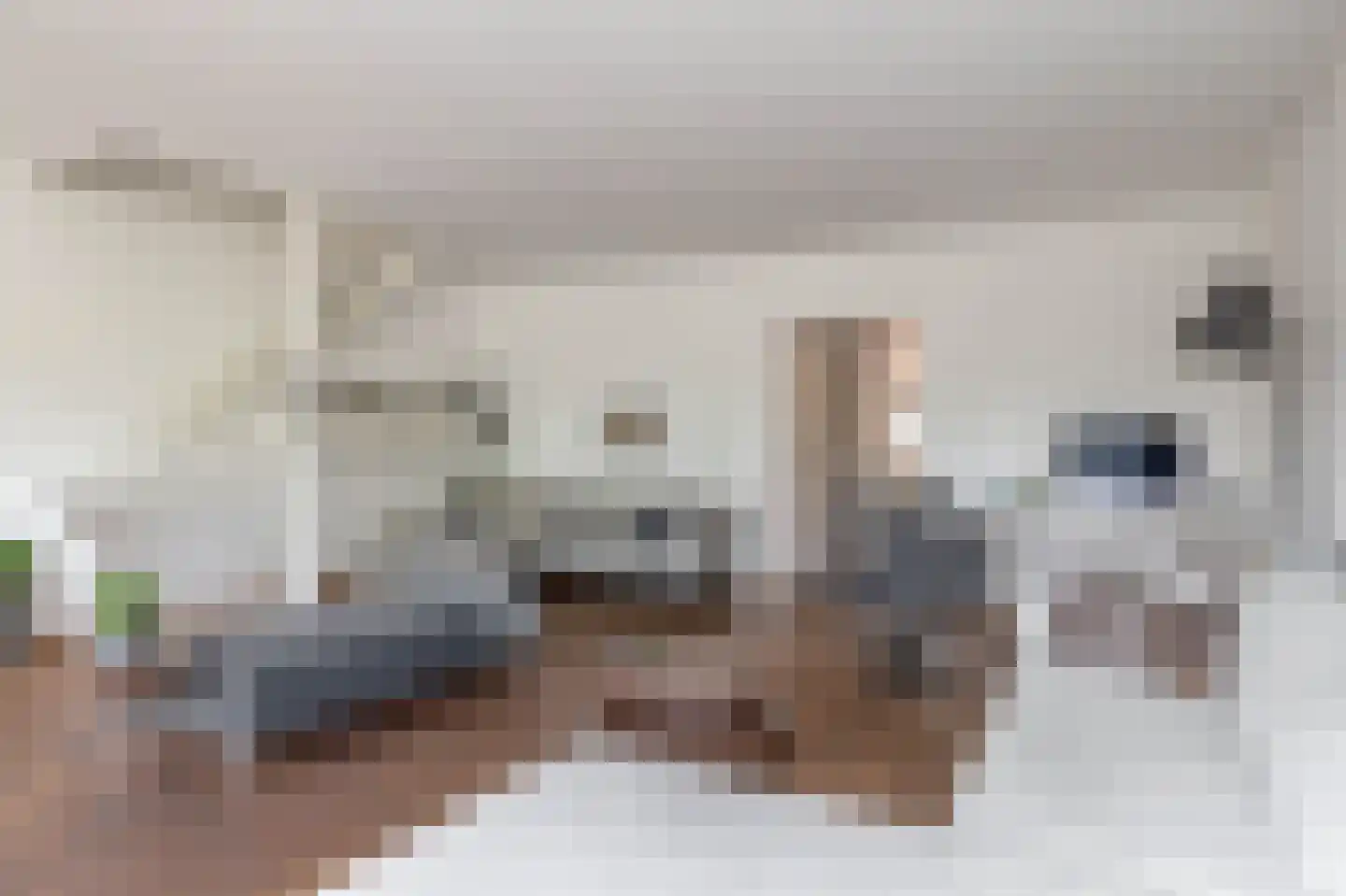 Molenveld 42 Koog aan de Zaan thumbnail 10