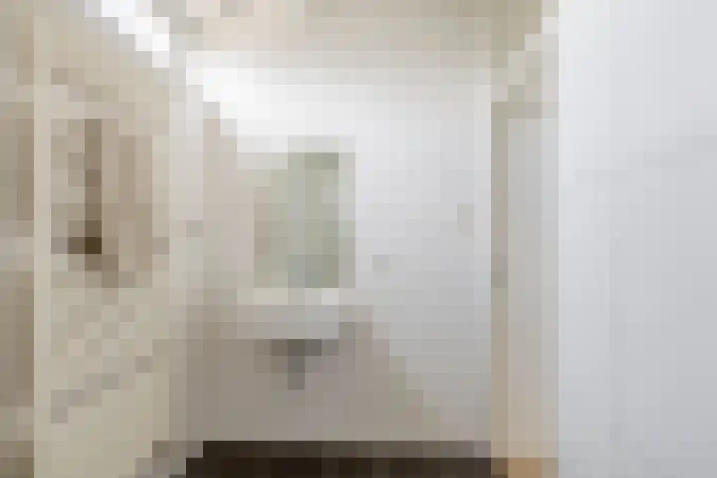 Molenveld 42 Koog aan de Zaan thumbnail 31