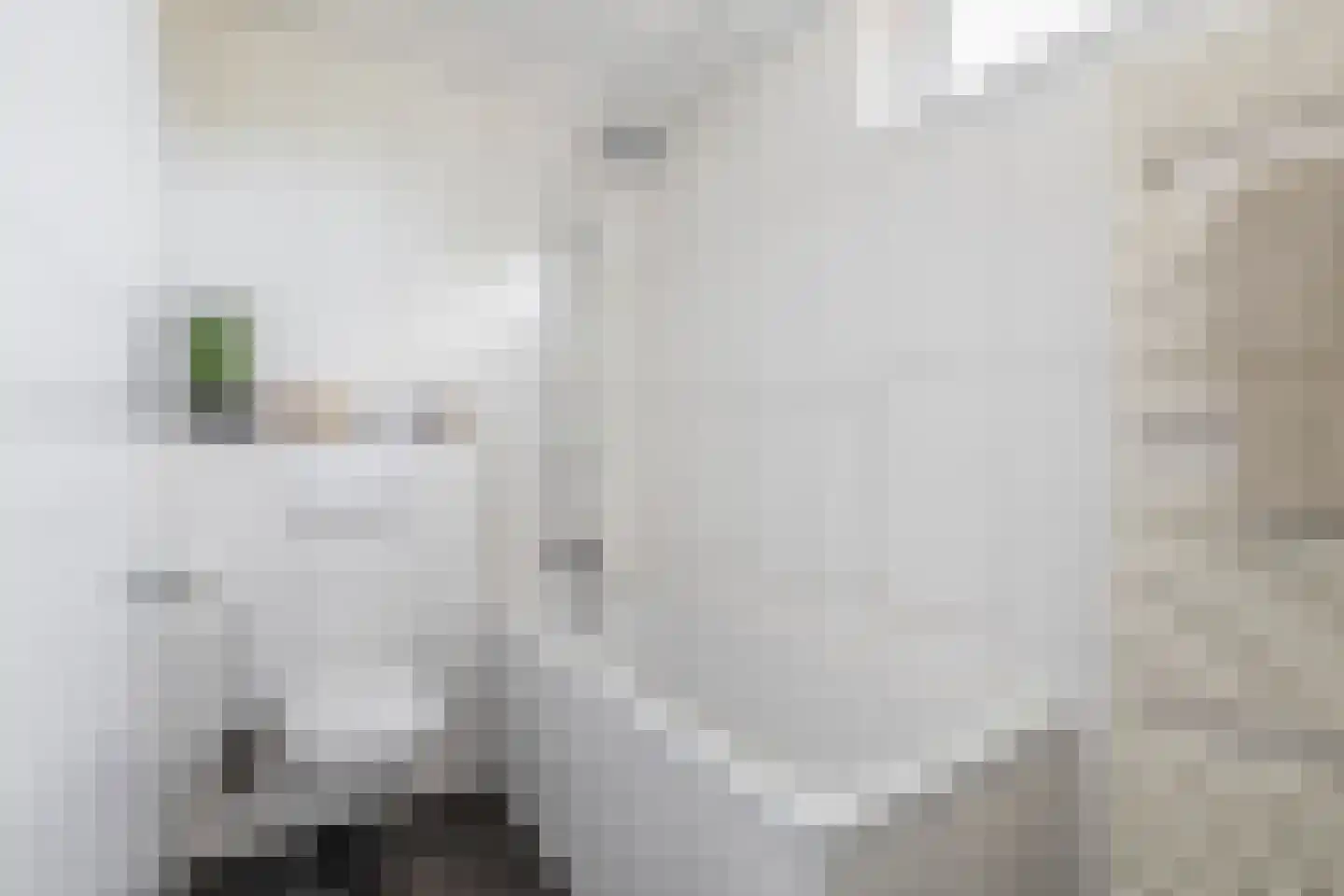 Molenveld 42 Koog aan de Zaan thumbnail 32
