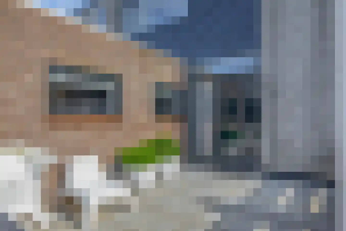 Molenveld 42 Koog aan de Zaan thumbnail 5