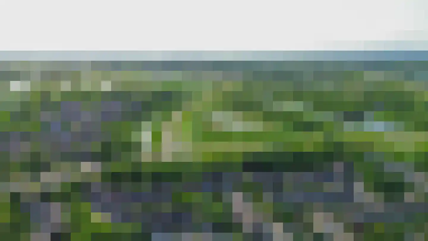 Molenveld 42 Koog aan de Zaan thumbnail 51