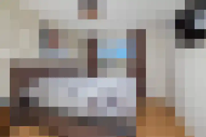 Molenveld 7 Anna Paulowna thumbnail 18